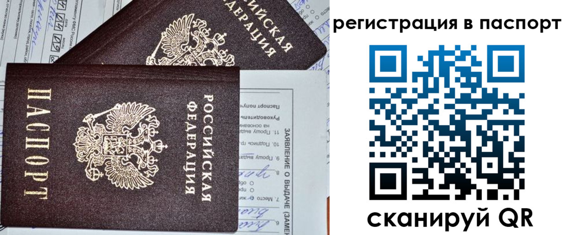 прописка законно в Рубцовске